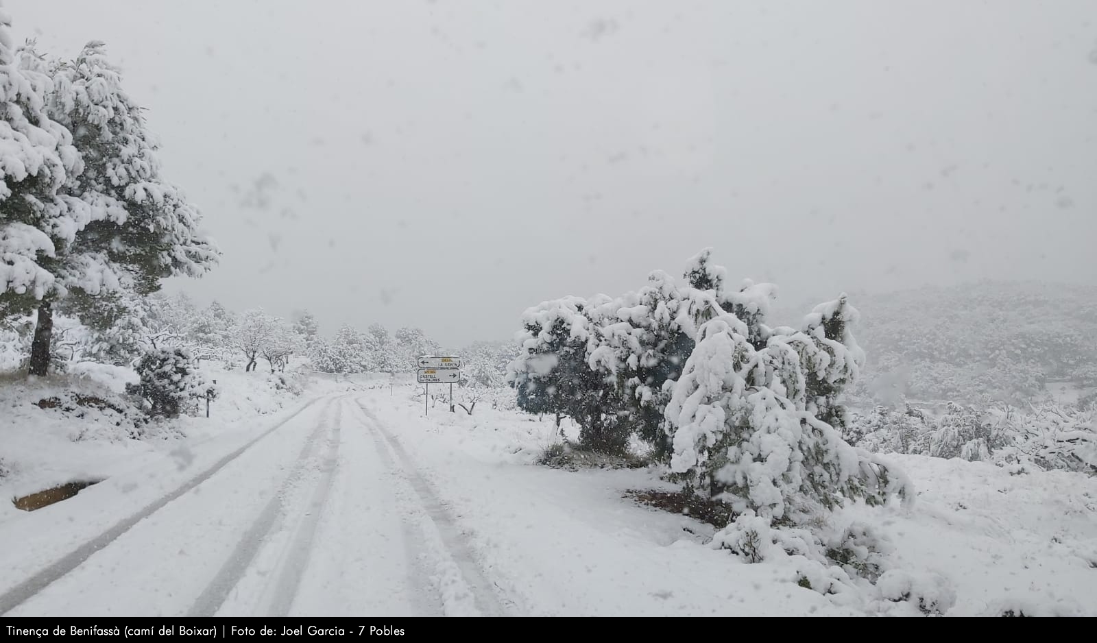 Imágenes de la nevada del 19 y 20 de Enero de 2020 (Tinenza de Benifasá, Parque Natural dels Ports, sierra de Montsià, Terra Alta)