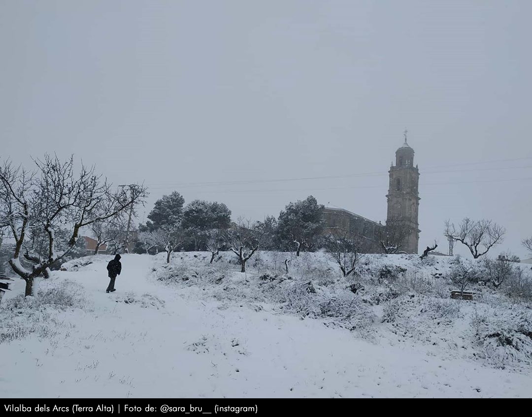 Imágenes de la nevada del 19 y 20 de Enero de 2020 (Tinenza de Benifasá, Parque Natural dels Ports, sierra de Montsià, Terra Alta)