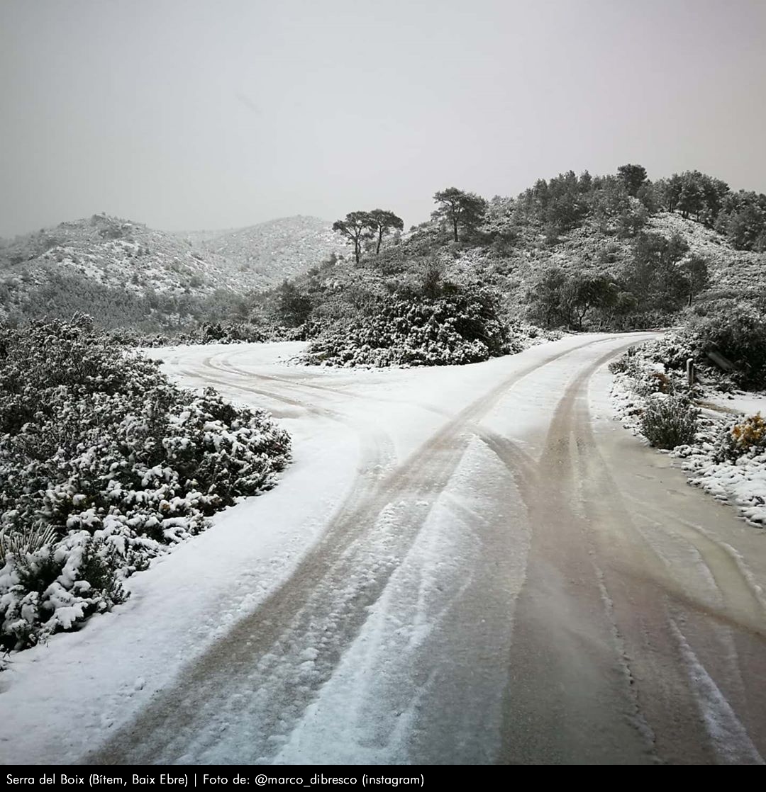 Imatges de la nevada del 19 i 20 de gener de 2020 (Tinença de Benifassà, Parc Natural dels Ports, serra de Montsià, Terra Alta)