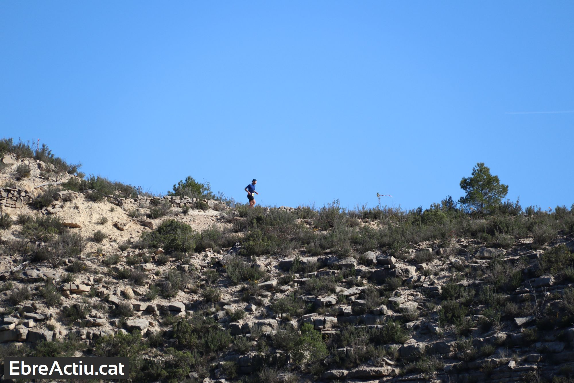 Àlbum de fotos 13a Cursa per muntanya Serra de les Fites